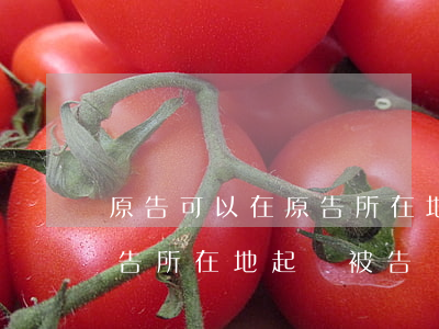 原告可以在原告所在地法院起訴嗎(可以在原告所在地起訴被告嗎)