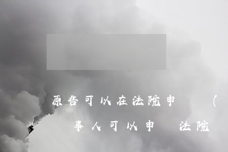 原告可以在法院申請調(diào)查令嗎(當事人可以申請法院調(diào)查令嗎)