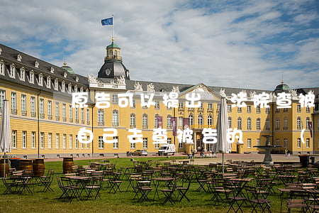 原告可以提出讓法院查被告賬戶嗎(原告可以自己去查被告的財產(chǎn)嗎)