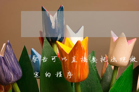 原告可以直接委托法院做鉴定吗(法院委托鉴定的程序)