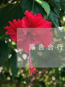 原告合行政起訴要符合哪些法定條件