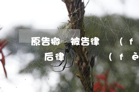 原告撤訴被告律師費(fèi)可以退嗎(撤訴后律師訴訟費(fèi)給退嗎)
