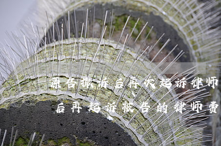 原告撤诉后再次起诉律师还收费吗(原告撤诉后再起诉被告的律师费要重交吗)