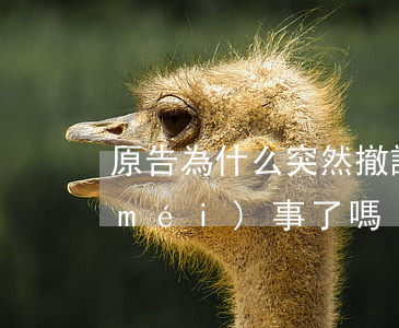 原告為什么突然撤訴了(原告撤案被告就沒(méi)事了嗎)