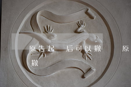 原告起訴后可以撤訴嗎(原告什么情況下可以撤訴)