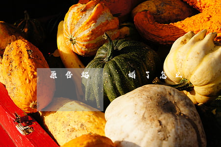 原告起訴離婚了怎么辦