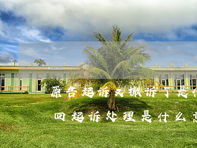 原告起诉又撤诉了是什么意思(本案按原告撤回起诉处理是什么意思)
