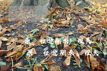 原單位逾期未辦理失業(yè)金怎么寫-原單位逾期未辦理失業(yè)金怎么寫申請(qǐng)