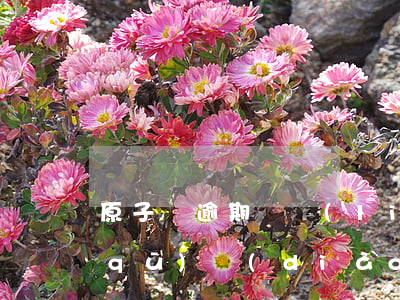 原子貨逾期說聯(lián)系村部社區(qū)調(diào)解-原子貸逾期集體訴訟