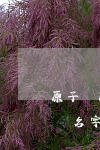 原子貸改名時光分期欠的錢要還嗎-原子貸換名字了嗎