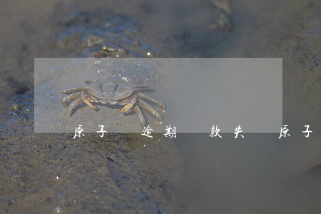 原子貸逾期還款失敗(原子貸逾期起訴)