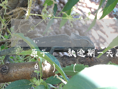 原子貸還款逾期一天(原子貸逾期三年沒(méi)錢(qián)還怎么辦)