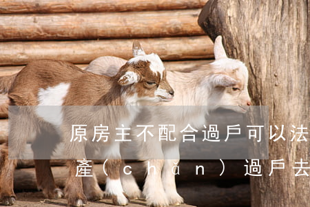 原房主不配合過戶可以法院起訴嗎(不配合房產(chǎn)過戶去法院起訴)