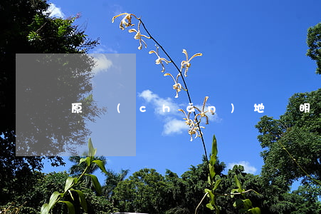 原產(chǎn)地證明是什么（三大特性）