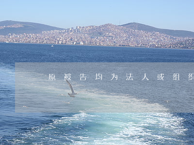 原被告均为法人或组织的起诉书模板