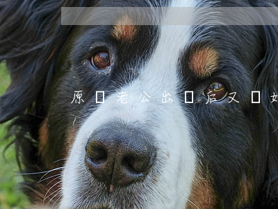 原諒老公出軌后又離婚(出軌老公原諒我了)