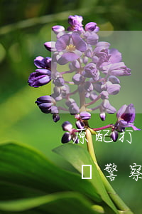 原配打小三報警了怎么處理(原配打小三犯法嗎警察會怎么處理)