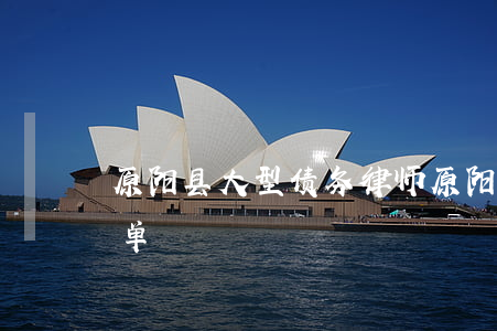 原阳县大型债务律师(原阳县大型债务律师名单)