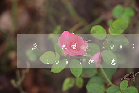 原陽縣大型債務(wù)律師(原陽縣大型債務(wù)律師名單)