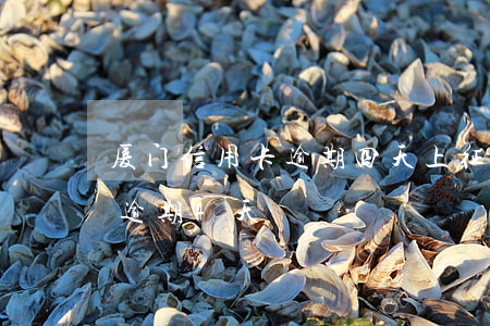 厦门信用卡逾期四天上征信吗 哈尔滨信用卡逾期4天