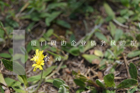 厦门周边企业债务风险控制律师费-厦门债务公司