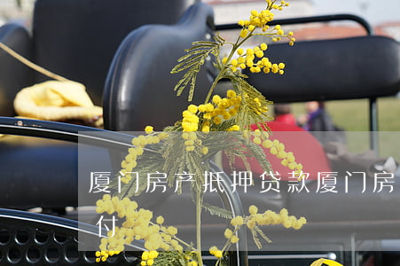 厦门房产抵押贷款(厦门房产抵押贷款能当首付?)
