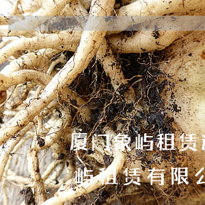 厦门象屿租赁逾期一天交钱能行吗-厦门象屿租赁有限公司