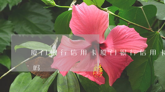厦门银行 信用卡（厦门银行信用卡逾期好协商吗）