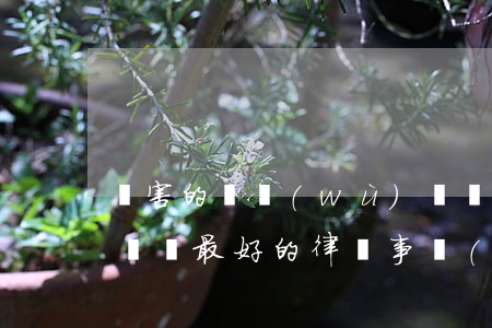 厲害的債務(wù)糾紛律師(債務(wù)糾紛最好的律師事務(wù)所)