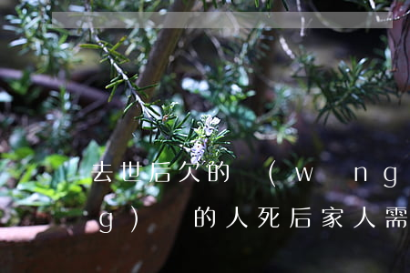 去世后欠的網(wǎng)貸(欠網(wǎng)貸的人死后家人需要還嗎)