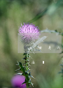 去世身份證注銷信用卡不還(去世后身份證不注銷)