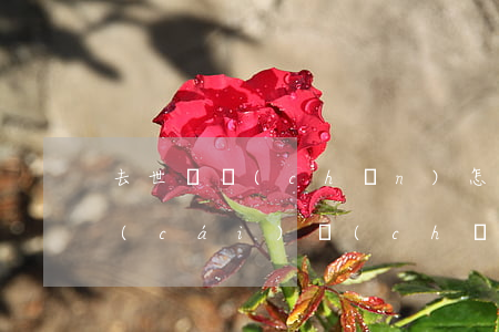 去世遺產(chǎn)怎么繼承(人去世了財(cái)產(chǎn)怎么繼承)
