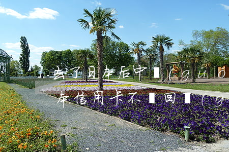 去了日本后中國(guó)信用卡不還(在日本信用卡不還回國(guó))