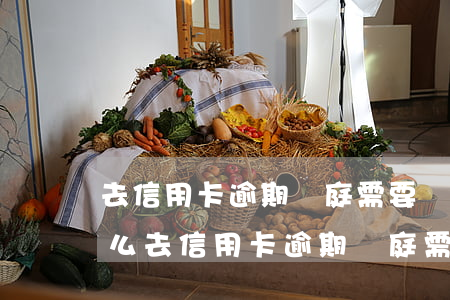 去信用卡逾期開庭需要準(zhǔn)備什么 去信用卡逾期開庭需要準(zhǔn)備什么資料