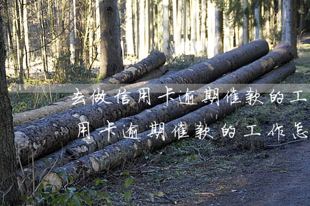去做信用卡逾期催款的工作怎么樣-去做信用卡逾期催款的工作怎么樣啊