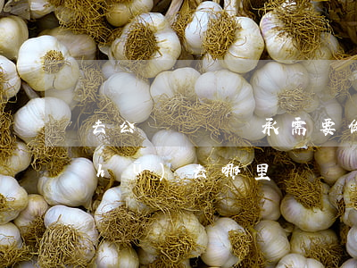 去公證處辦繼承需要做什么(繼承公證書(shū)去哪里辦)