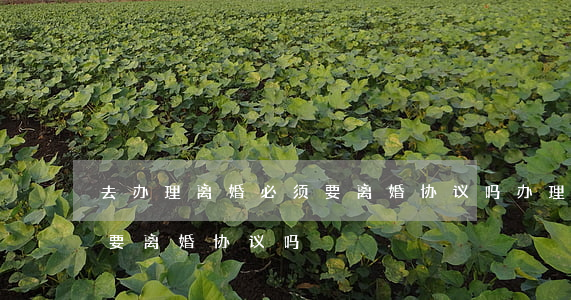 去办理离婚必须要离婚协议吗(办理离婚一定要离婚协议吗)