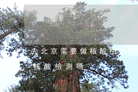 去北京需要做核酸檢測嗎(湖南去北京需要做核酸檢測嗎)