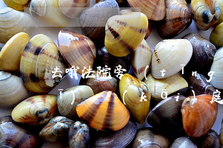 去哦法院旁聽(tīng)可以帶手機(jī)嗎(開(kāi)庭旁聽(tīng)可以帶手機(jī)進(jìn)去嗎)