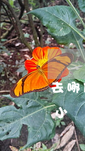 去哪借小鵝貸逾期2年又開始催收-去哪借小鵝貸逾期2年又開始催收了