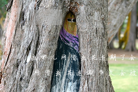 去哪儿网借去花逾期了会被起诉吗-去哪儿网借去花逾期多久会被打通讯录