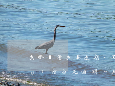 去哪兒借去花逾期一天-去哪兒網(wǎng)借去花逾期一天就催收說(shuō)要上征信