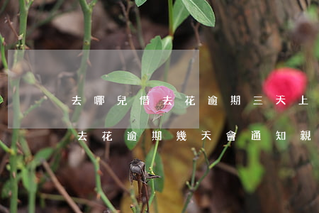 去哪兒借去花逾期三天上征信嗎-去哪兒借去花逾期幾天會通知親戚朋友