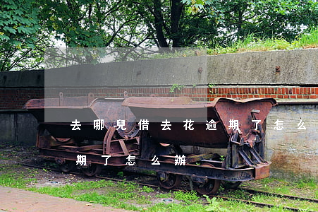 去哪兒借去花逾期了怎么辦(去哪兒借去花逾期了怎么辦)