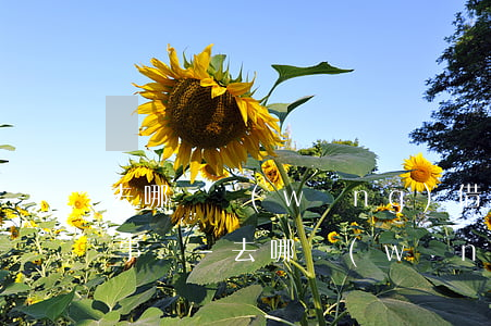 去哪兒網(wǎng)借趣花逾期一千多有事嗎-去哪網(wǎng)借趣花逾期100多天了會(huì)不會(huì)去戶(hù)籍地催收