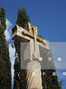 去哪兒逾期三年說立案是真的嗎-去哪兒逾期不能借錢多長時間可以再借