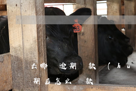 去哪兒逾期還款會(huì)怎么辦(貸款逾期后怎么還款)