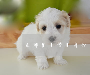 去哪拿離婚證身份證丟了怎么辦