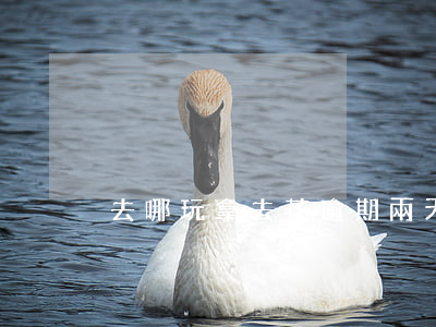 去哪玩拿去花逾期兩天(去哪借去花逾期)