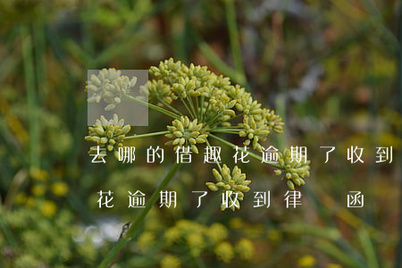 去哪的借趣花逾期了收到律師函(去哪的借趣花逾期了收到律師函)